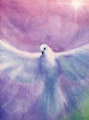 peacedove.jpg
